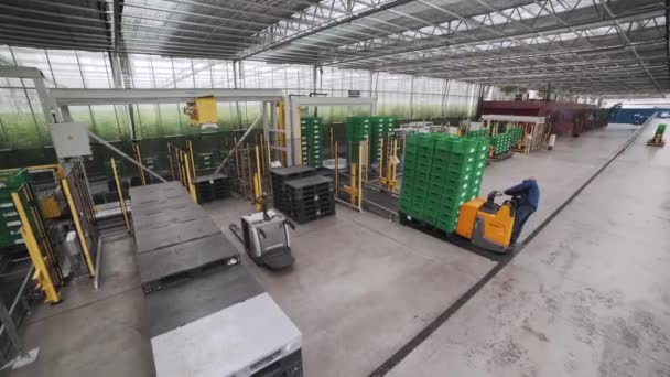 Plastic boxes for vegetables. Automated plant. Modern plant. Machines work. Export of goods. — 图库视频影像