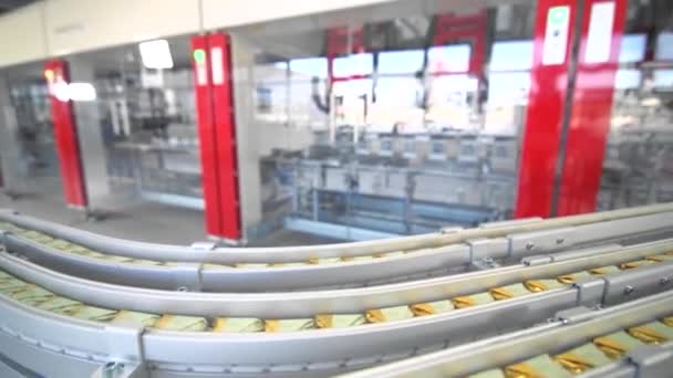 Automated plant, conveyor line. Modern plant. Machines work. Poduction, food industry — 图库视频影像