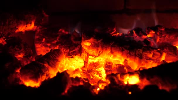 Smeltend brandhout. Vlammen in het landhuis. De aarde. Open haard. Warmte en Thuis comfort. — Stockvideo