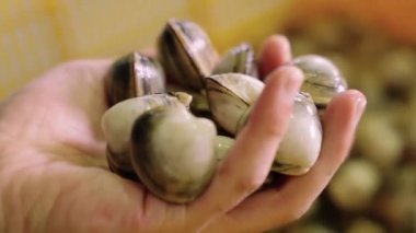 Kabuklu deniz ürünleri satışı, taze çiğ deniz tarağı pişirmeye hazır olun..