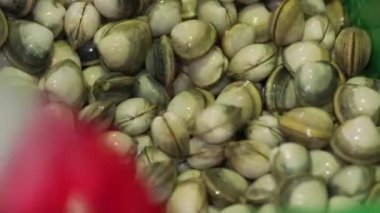 Kabuklu deniz ürünleri satışı, taze çiğ deniz tarağı pişirmeye hazır. Deniz ürünleri pazarı, seyahat, turistler.