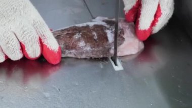 Balık dilimleme makinesi. Deniz ürünleri işleme fabrikası modern balık fabrikasında taze balık hazırlıyor. Bıçak, el yapımı..