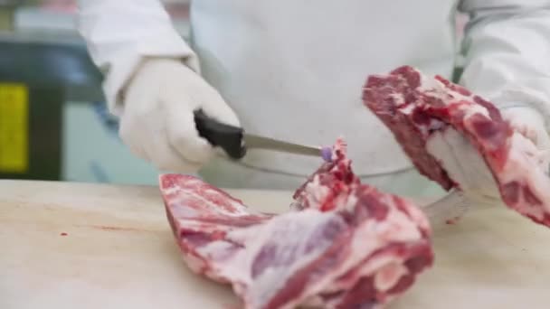 Харчова фабрика. Виробництво ковбас і копченого м'яса в м'ясопромисловості . — стокове відео