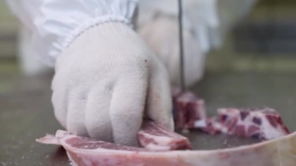 Fábrica de Refeições. Produção de carne na indústria da carne. — Vídeo de Stock