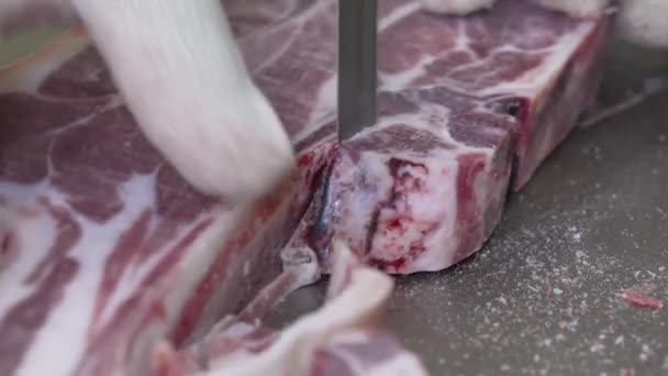 Pabrik Makanan. Produksi daging di industri daging. — Stok Video
