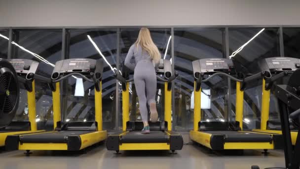 Training on trainer a treadmill. Sports training equipment in a fitness gym. Cardio routine on simulators. Fit women. — Stock Video