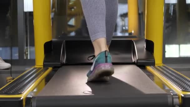 Detailní atletické nohy běží na běžeckém pásu v posilovně. Runner Cardio Training In Health Club. Foot tenisky Fitness běžecký běžecký pás. — Stock video