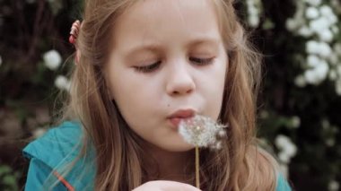 Parktaki çocuk baharda. Çiçekli çalılı bir kız. Tatilde. Çiçek açan çalılar. İlkbahar. Meyve bahçesi.