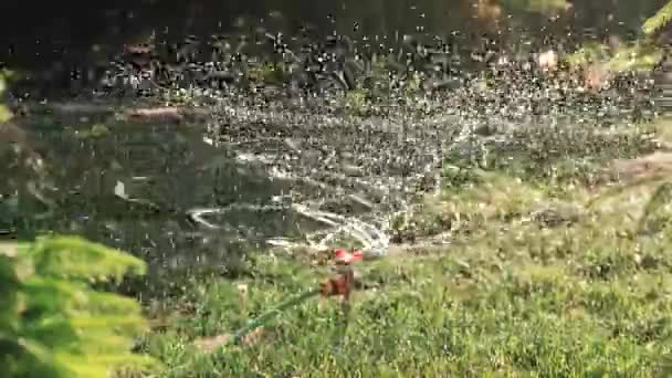 花园灌溉洒水器 在乡间浇灌绿色的草坪 在乡间别墅度暑假 — 图库视频影像