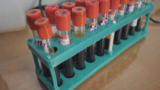 Tubo Teste Sangue Com Plasma Sanguíneo Centrífugo Rack Suporte — Vídeo de Stock