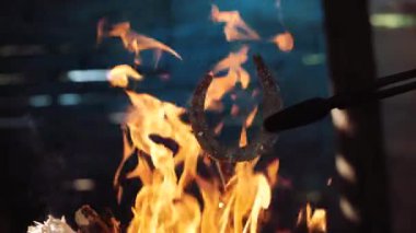 wrought iron horseshoe on fire
