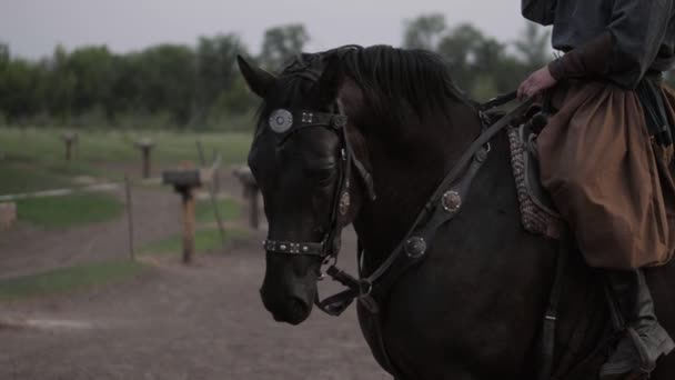 馬の上にコサック 利用された馬の銃口 — ストック動画