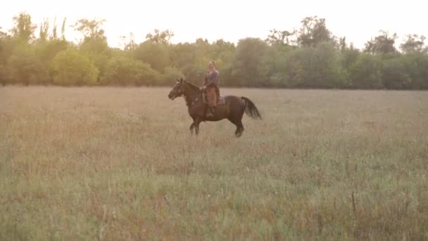 Cosaco Caballo Hocico Caballo Arnés — Vídeos de Stock