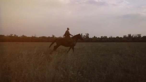 Козак Коні Дуло Язкого Коня — стокове відео