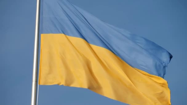 Ukraine Flag Waving Wind Freedom Country — Stock Video