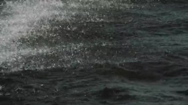 - Su. Yağsız su. Temiz su damlaları