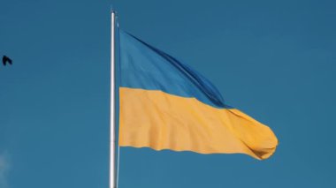 Ukrayna bayrağında uçan kuşlar.