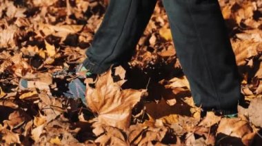 Sonbahar yaprakları. Yerdeki kuru yapraklar..