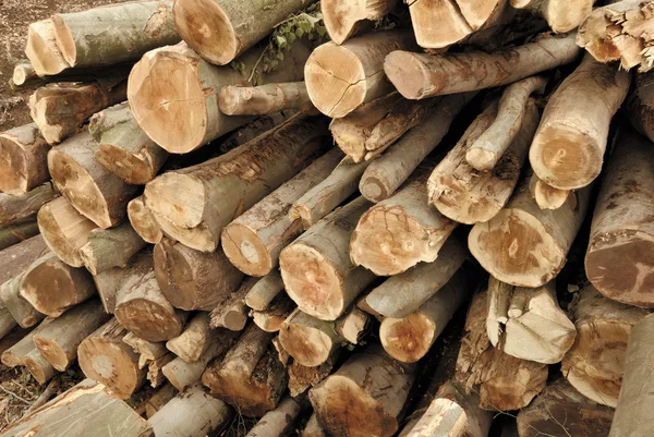 Pile of lumber — Stock Photo, Image