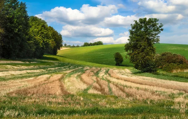 Paisagem rural idílica — Fotografia de Stock