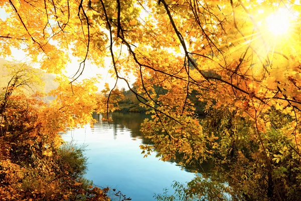 De gouden zon van de herfst — Stockfoto