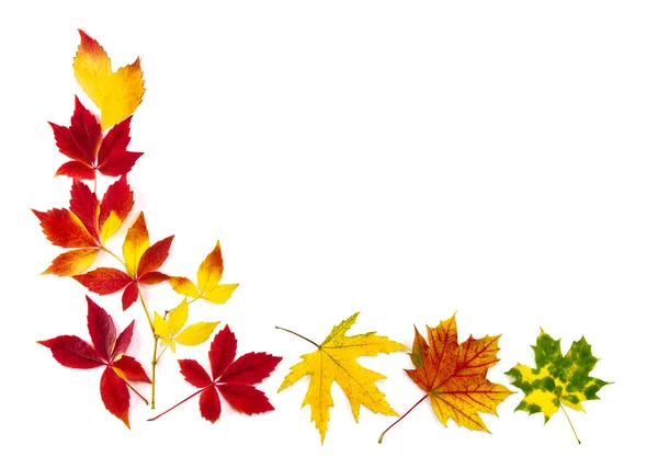 Moldura de folhas de outono colorido — Fotografia de Stock