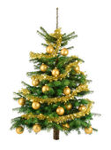 svěží vánoční strom s zlaté ozdoby