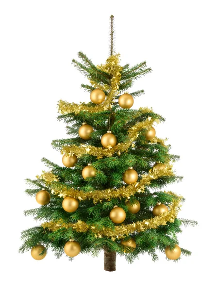 Árvore de Natal exuberante com bugigangas de ouro — Fotografia de Stock