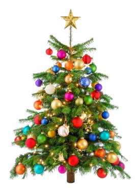 sevinçle renkli Noel ağacı