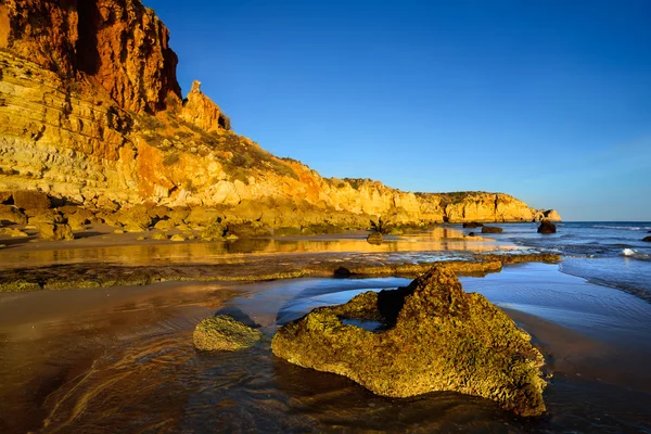 Skalnaté pobřeží v zlaté slunce — Stock fotografie