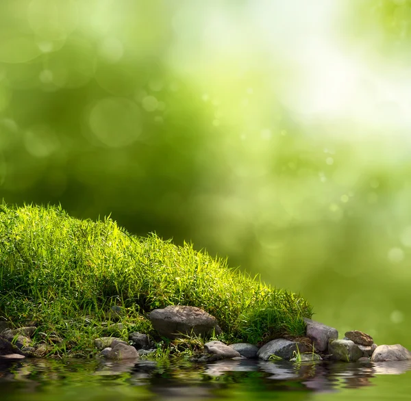 Zelené pozadí přírody — Stock fotografie