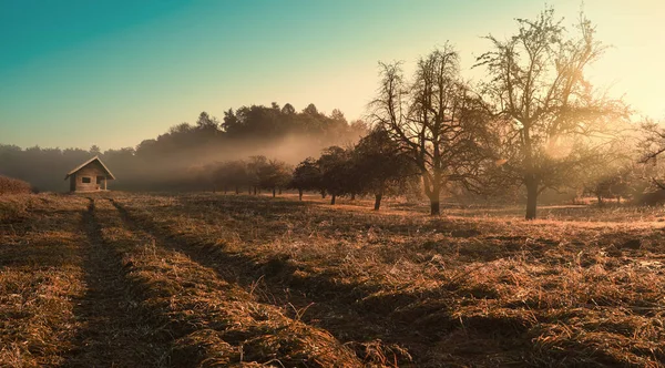 Мудрий Сільський Пейзаж Сході Сонця Променями Світла Падають Через Туман — стокове фото