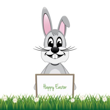 arkasında izole tahta arka plan gri tavşan