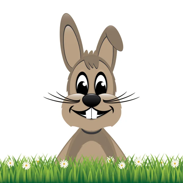 Heureux brun lapin sourire marguerite prairie isolé — Image vectorielle