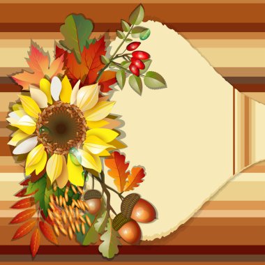 sonbahar arka plan ayçiçeği ile