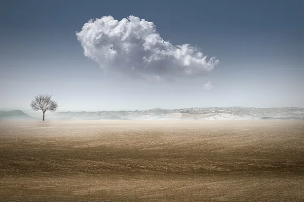 Ville du désert et ladscape — Photo