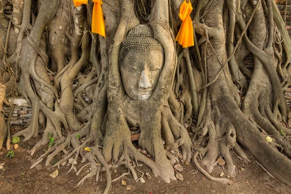 Kopf des Sandstein-Buddha-Bildes — Stockfoto