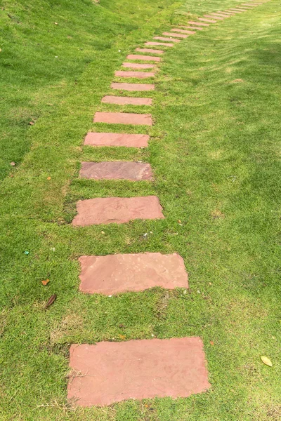 Walkway on the green grass — стоковое фото