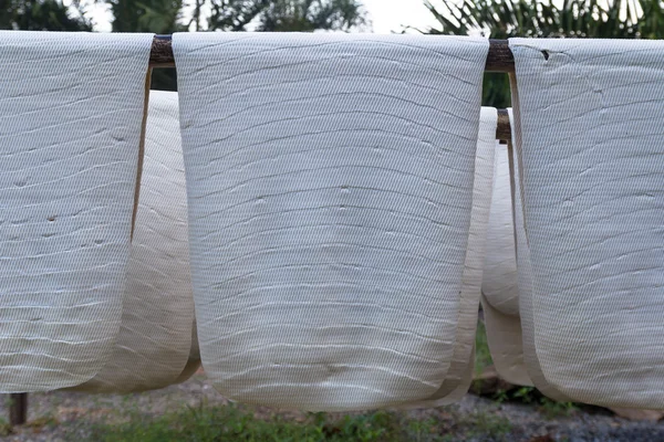 Rubber sheet to dry — Stock Photo, Image