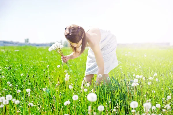 Meisje op veld met paardebloem — Stockfoto