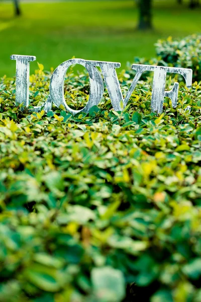 Word love on the lawn — Stock Photo, Image