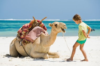 çocuk ve camel Beach