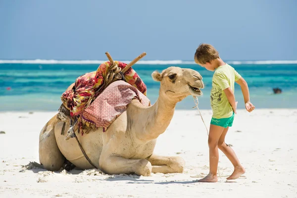 Niño y un camello en la playa — Foto de Stock