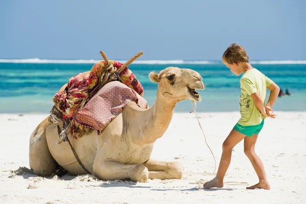 Kind en een kameel op het strand Stockafbeelding