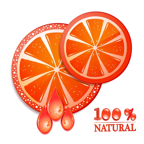 Vörös grapefruit szelet — Stock Vector