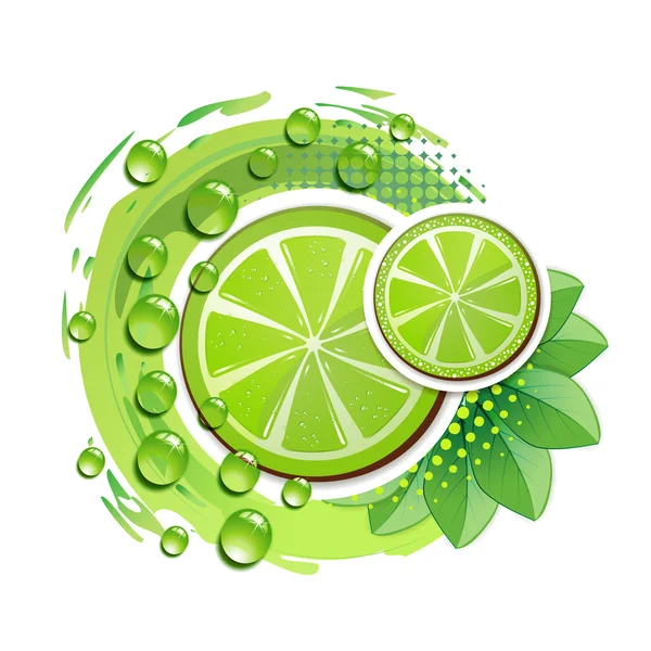 Slice of lime — Stock Vector