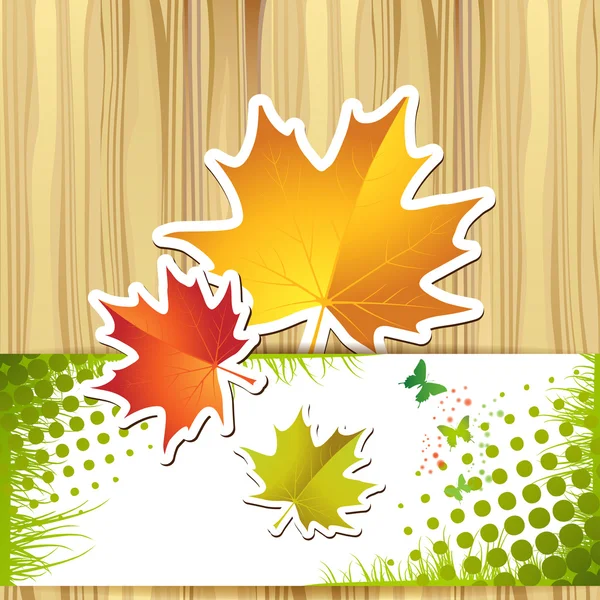 Kleurrijke Herfstbladeren — Stockvector