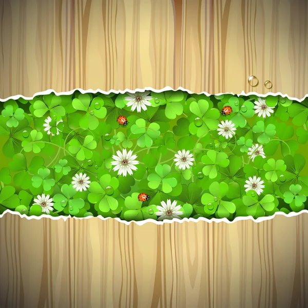 Background with clover — Stock Vector