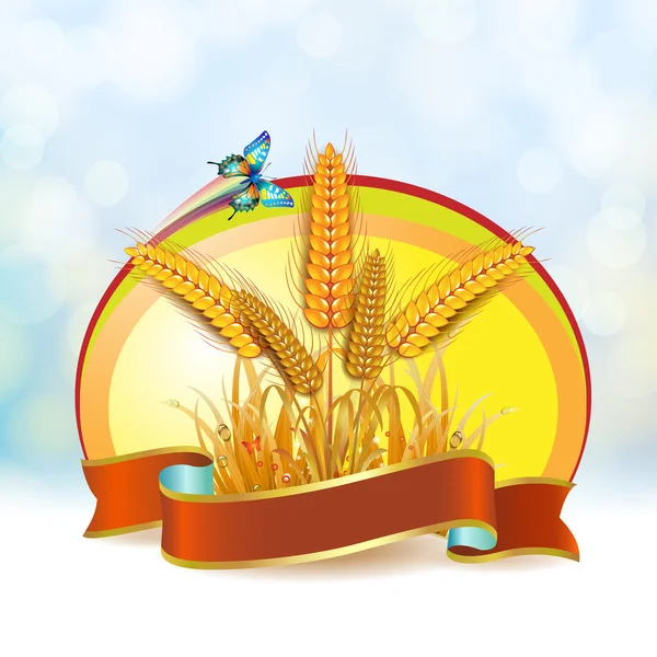 Wheat ears with ribbon — Stock Vector