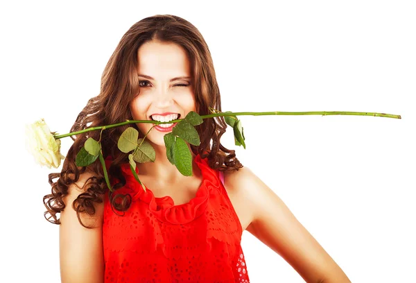 Close-up portrait of pretty sexy woman with rose in teeth Stock Photo